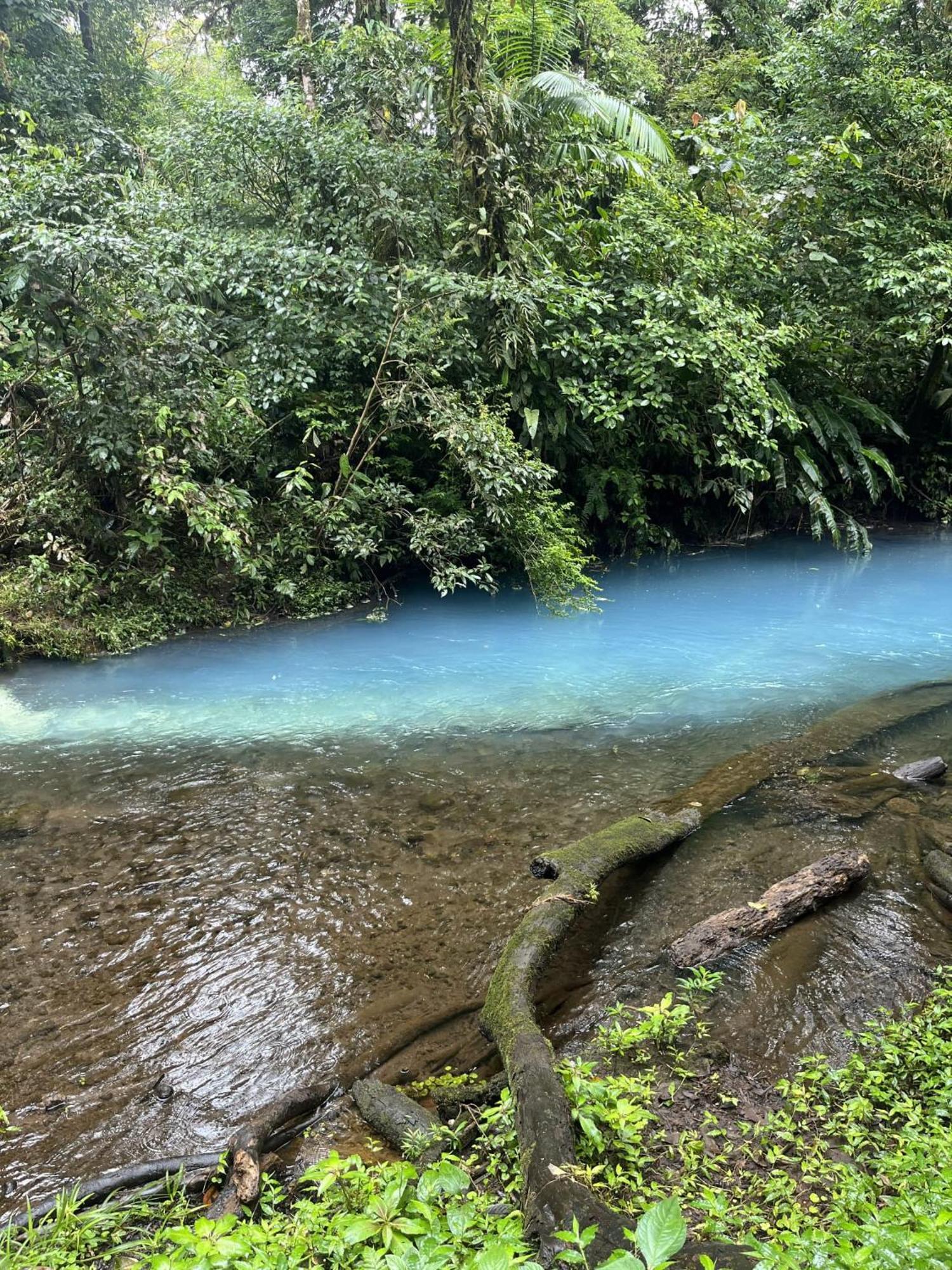 Kakao Lodge & Garden Rio Celeste Bijagua Εξωτερικό φωτογραφία