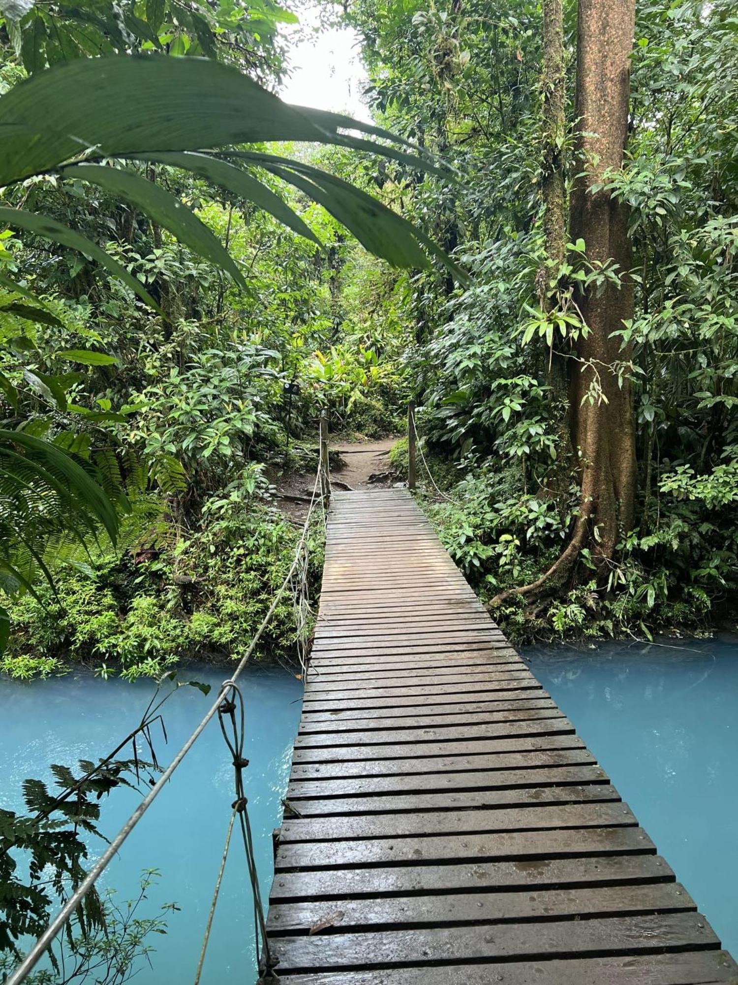 Kakao Lodge & Garden Rio Celeste Bijagua Εξωτερικό φωτογραφία