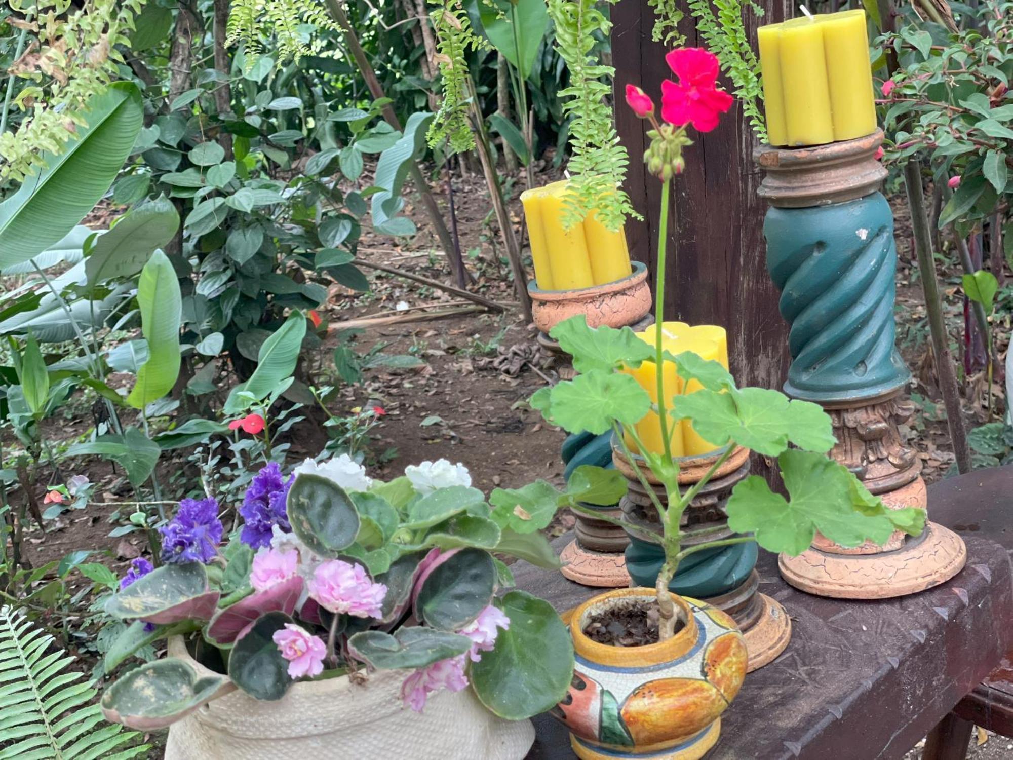 Kakao Lodge & Garden Rio Celeste Bijagua Εξωτερικό φωτογραφία